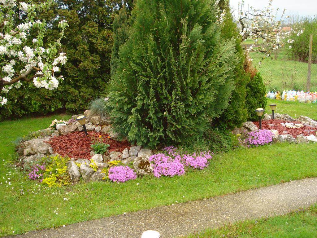 Apartmani Anna Sveti Martin Na Muri Exterior foto