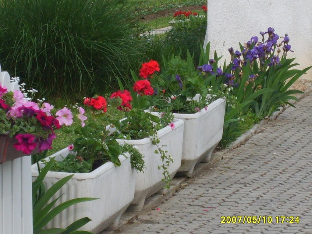 Apartmani Anna Sveti Martin Na Muri Exterior foto