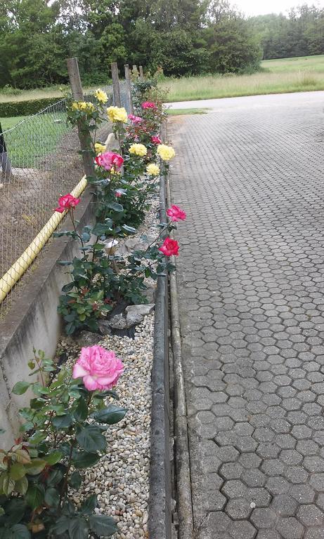 Apartmani Anna Sveti Martin Na Muri Exterior foto