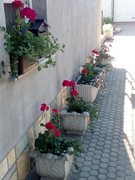 Apartmani Anna Sveti Martin Na Muri Exterior foto